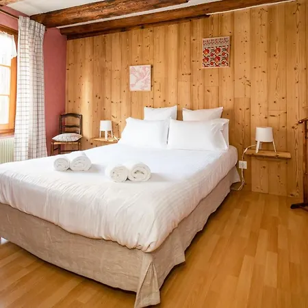 Schriner Huess - Locations De Avec Piscine Et Parking Prive Apartment *