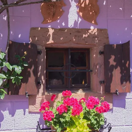 Lejlighed Schriner Huess - D'hotes & Beblenheim