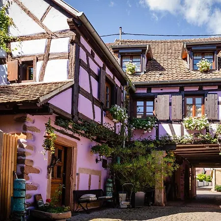 Schriner Hüss - Locations De Avec Piscine Et Parking Privé Apartamento