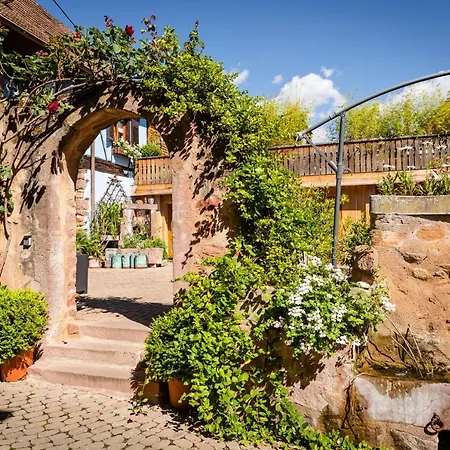Schriner Hüss - Locations De Avec Piscine Et Parking Privé Apartamento Beblenheim