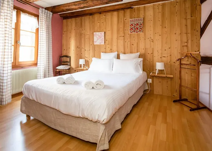 Schriner Huess - Locations De Avec Piscine Et Parking Prive Appartement *