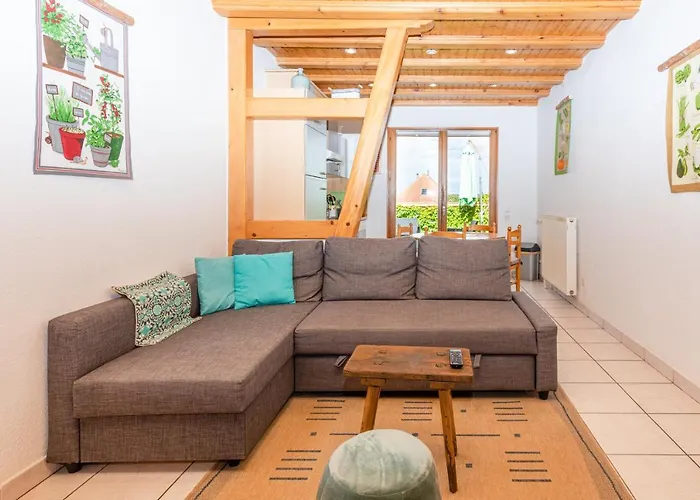 Schriner Huess - Locations De Avec Piscine Et Parking Prive * Beblenheim