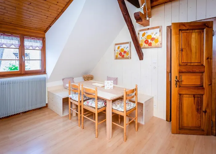 Schriner Huess - Locations De Avec Piscine Et Parking Prive Appartement