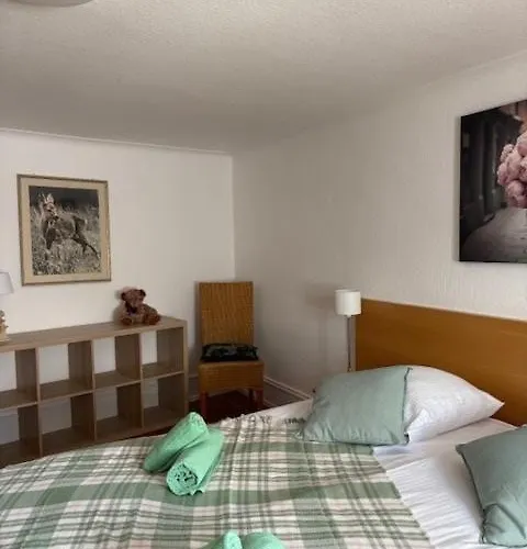 Schriner Huess - Locations De Avec Piscine Et Parking Prive Beblenheim