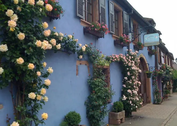 Schriner Huess - Locations De Avec Piscine Et Parking Prive Beblenheim